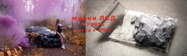 стаф Гусев