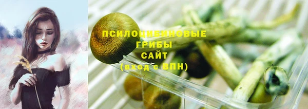 стаф Гусев