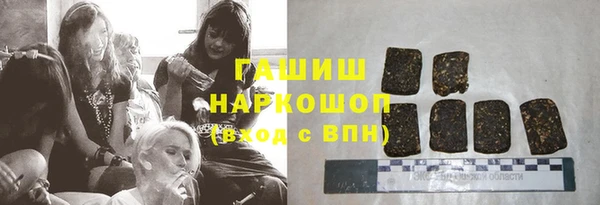 стаф Гусев