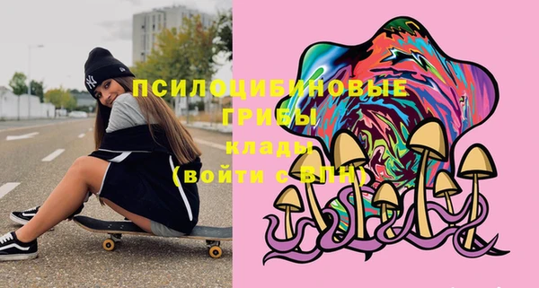 спайс Гусиноозёрск