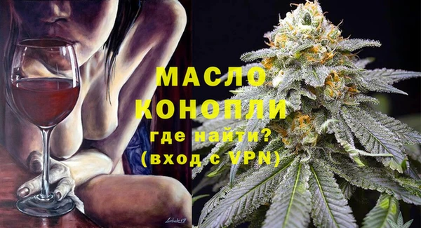 стаф Гусев