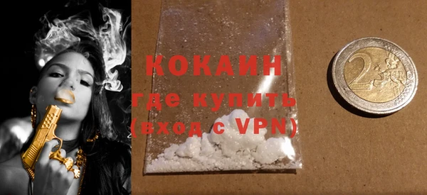 PSILOCYBIN Горняк