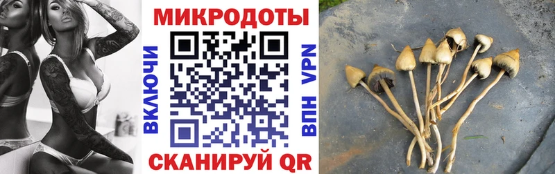 Псилоцибиновые грибы прущие грибы  Печоры 